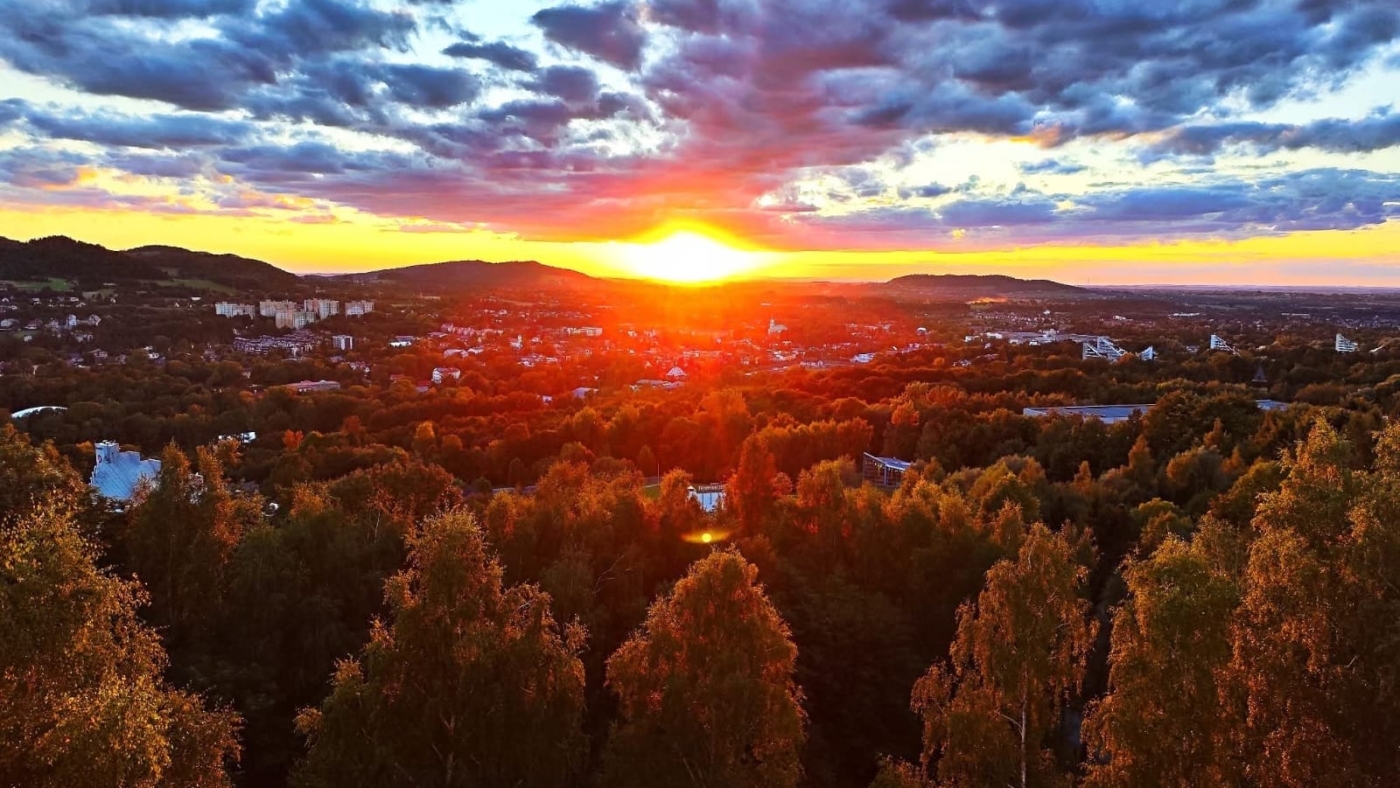 7621245a-9514-4d75-ac0e-2c3044af1449